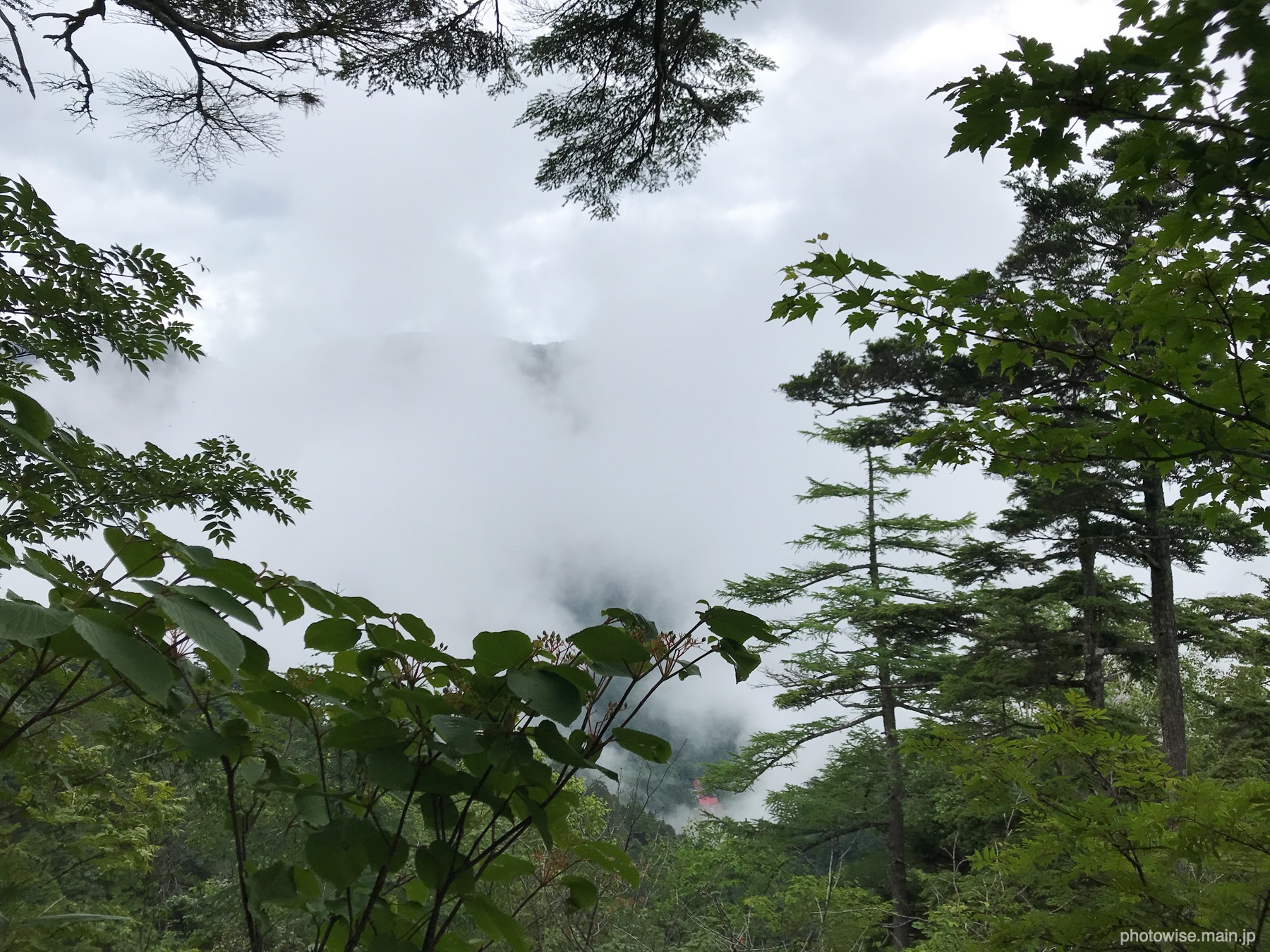 霧の富士見台