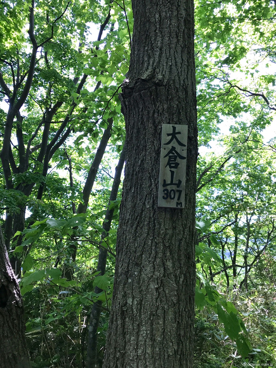 大倉山山頂標識